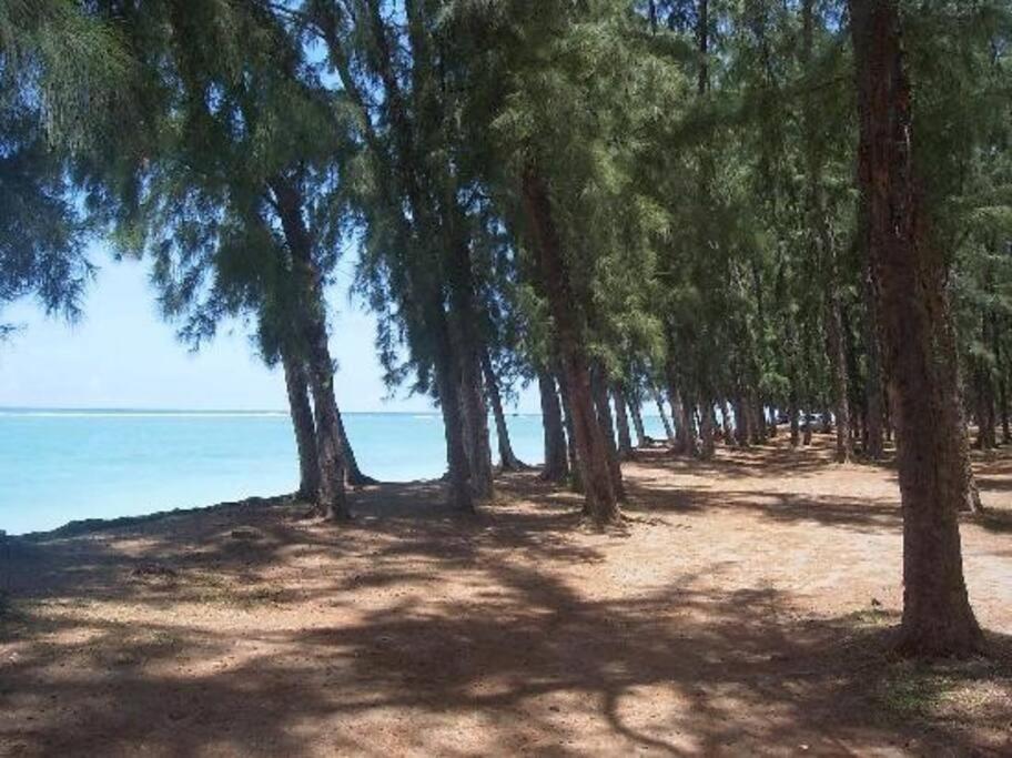 Beachfront Apartment Flic-en-Flacq エクステリア 写真